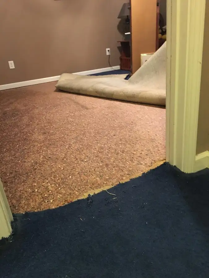 Carpet pad removal revealing water damage during Water Mitigation Services in Paloma Creek South