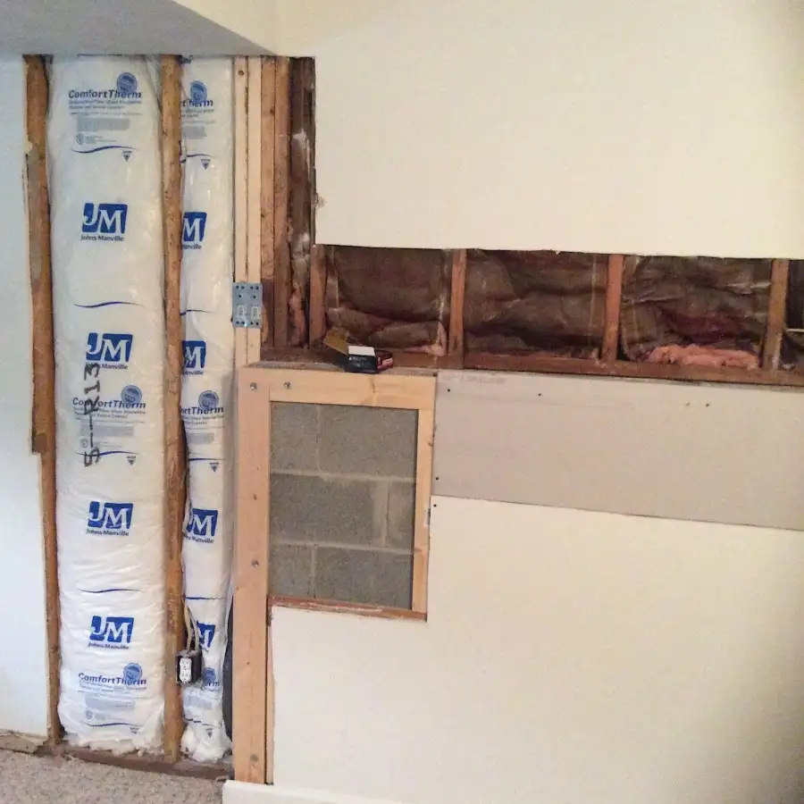 Wall insulation replacement during Basement Flood Cleanup in Paloma Creek South